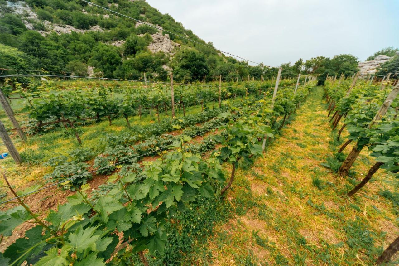 Apartments Econature Virpazar Kültér fotó